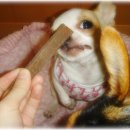 산이랑 바다 이미지