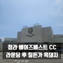 베스트골프 | 인천 청라 베어즈베스트 CC 골프 라운딩 후기 및 근처 식당 칠돈가 제주 흑돼지
