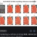 와규는 간이 병든 소. 죽어가는 소를 제일 맛있다고 먹는 일본사람들 한국사람들 이미지