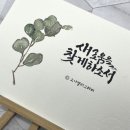 얼리래터 이미지