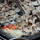 대패홀릭