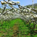 현태농장 이미지