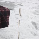 월산낚시터(월산저수지) 이미지