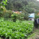 포항시북구65 이미지