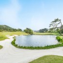 알프스대영CC 이미지