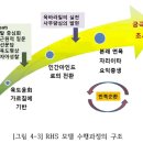 RHS 모델 경험 분석에 대한 해석 이미지