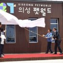 월드수영센터 중앙일보