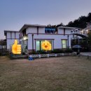 화이트아일랜드(피지) 네이버블로그