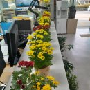 군서면복지회관 이미지