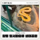 함평양서파충류생태공원 | 광주 근교 아이랑 실내 가볼 만한 곳 함평 양서파충류 생태공원