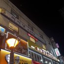 미어캣족장 | [건대놀거리] 카페 미어캣족장에서 라쿤, 미어캣, 고양이, 리트리버랑 논 후기