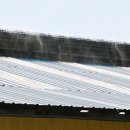 자석목장 축산신문