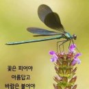 여고시절/노래 이수미 이미지