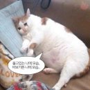 으리PC방 | 포빅아 1주차 (2/19~2/25) 후기