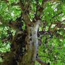 먹이창고 이미지