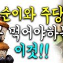 주당 - 부천시 오정구 성곡로 65 | 주당