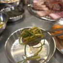 탄통제주돼지 | 연탄구이는 바로 탄통제주돼지 고잔동맛집 내돈내먹 (안산 고잔동)