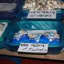 장터야채 이미지