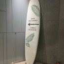 애월 여정 | 제주여행 1일] 애월 숙소 스탠포드호텔앤리조트 1박 숙박 후기