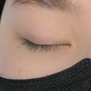 코멜리유 네이버블로그
