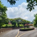 재릉초등학교 이미지