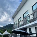 서월 | 충북 괴산 애견동반 가능, 수영장 펜션 '서월펜션' 내돈내산 후기