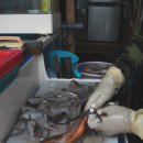 대왕수산 이미지