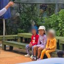 숲 체험 리틀 포레스트 이미지