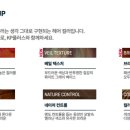 에스피더불유