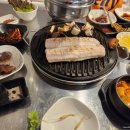 처음본명품민물장어 이미지