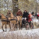 달리는마차 이미지