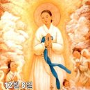 12월 8일 대림 제1주간 금요일 (한국 교회의 수호자, 원죄 없이 잉태되신 복되신 동정 마리아 대축일) 이미지