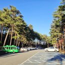 솔향수목원(방문자쉼터) 이미지