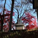 광탄유원지 | [양평 광탄리유원지] 반려견동반 노지차박/캠핑 후기(시설사진)