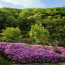 팔공산금화자연휴양림 | 팔공산금화자연휴양림 교육관 숙박 및 산책