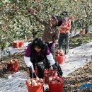 이경숙농장 이미지