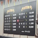 금빛한돈 이미지