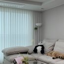 괴정한신더휴어린이집 | 부산 괴정 사하한신더휴 / 부드러운 쉬폰 커튼과 화이트 블라인드