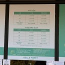 충북증평 벨포레 익스트림 루지, 사계절 썰매 체험