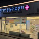 원러브동물의료센터 이미지