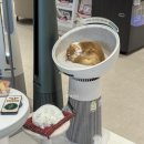 GS25 광주신창점 | 광주 가전제품 LG전자 베스트샵 신창점 혼수가전 할인받기