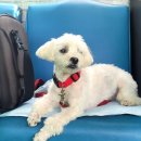 청남골프연습장 이미지