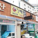 별미백반생선탕 | 목포 북항 맛집 추천으로 간 영심이백반 정식 진짜 맛있어요
