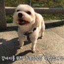 대영익스프레스