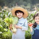 김종연농장 이미지