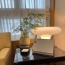 서울숲시원마취통증의학과의원 이미지