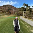 [충북] 11월 가을 라운딩 서울 근교 올데이CC 마운틴 레이크 코스 후기