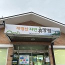 현대자동차충주서비스(주) | 계명산 자연휴양림 가족호텔 '솜다리' 숙박 후기, 충주 가볼만한 곳 추천<내 돈 내산>