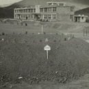 대성초교 이미지