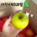 황금과일 | 과일추천 아침and과일 황금사과 시나노 골드 솔직후기